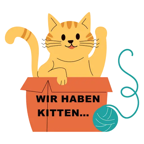 Wir haben Kitten...